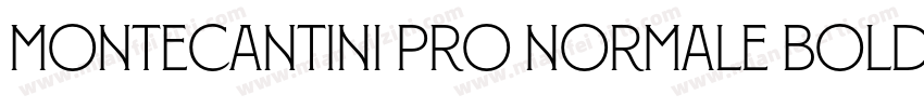 Montecantini Pro Normale Bold字体转换